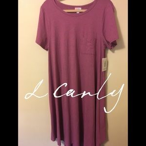 LuLaRoe Carly Swing Dress